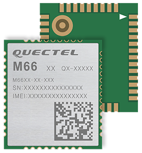 M66 product image
